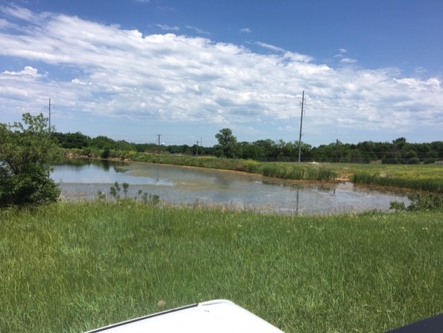 Before pond